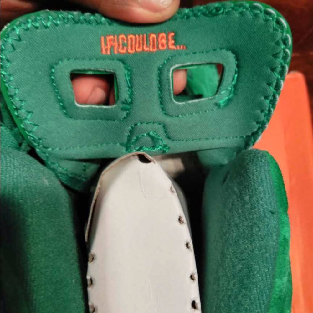 Jordan retro 6s